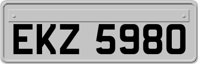 EKZ5980