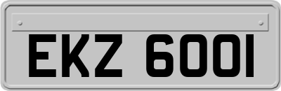 EKZ6001