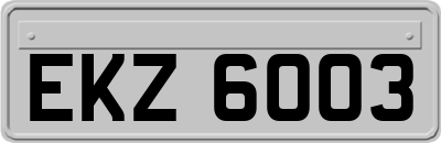 EKZ6003