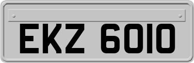 EKZ6010