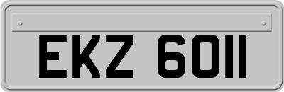 EKZ6011