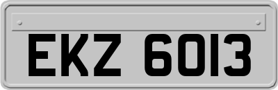 EKZ6013