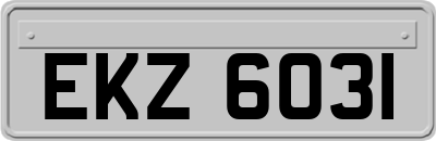 EKZ6031