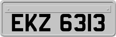 EKZ6313