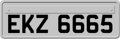EKZ6665