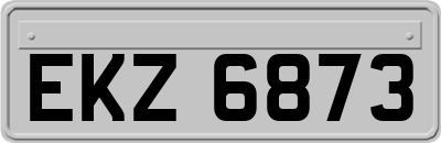 EKZ6873