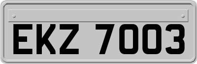 EKZ7003