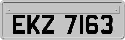 EKZ7163