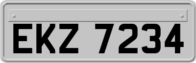 EKZ7234
