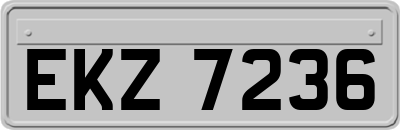 EKZ7236