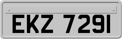 EKZ7291