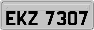EKZ7307