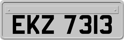 EKZ7313