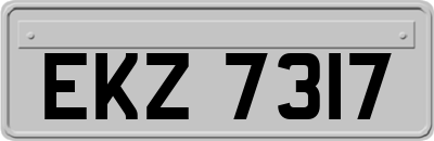 EKZ7317