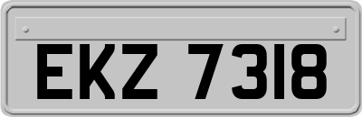 EKZ7318