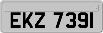 EKZ7391