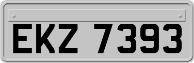 EKZ7393