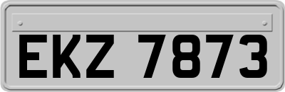 EKZ7873