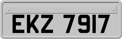 EKZ7917