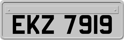 EKZ7919
