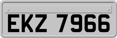 EKZ7966