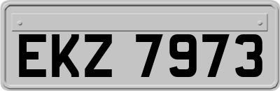 EKZ7973