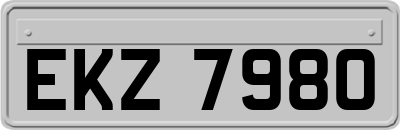EKZ7980