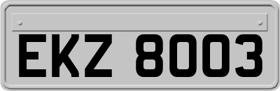 EKZ8003