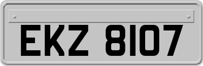 EKZ8107