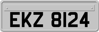 EKZ8124