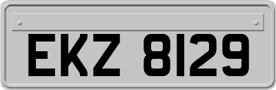 EKZ8129