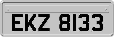 EKZ8133