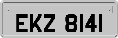 EKZ8141