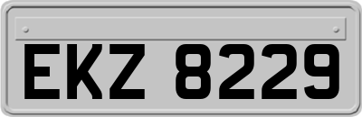 EKZ8229
