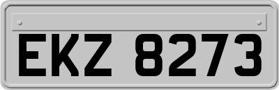 EKZ8273