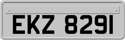 EKZ8291