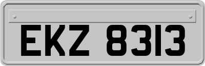 EKZ8313