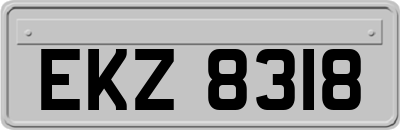 EKZ8318