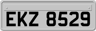 EKZ8529