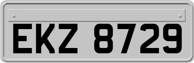 EKZ8729
