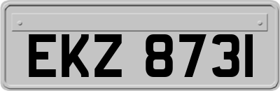 EKZ8731