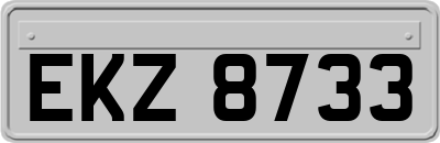 EKZ8733