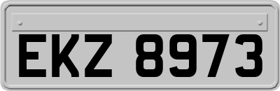 EKZ8973