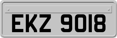 EKZ9018