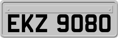 EKZ9080