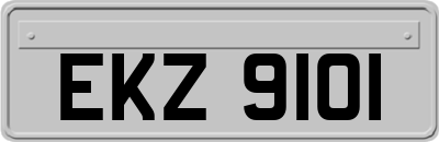 EKZ9101