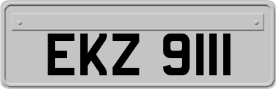 EKZ9111
