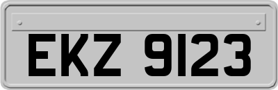 EKZ9123