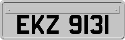 EKZ9131