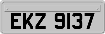 EKZ9137